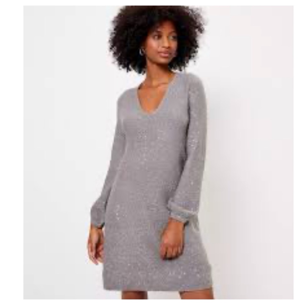 NWT Loft Sequin V-Neck Sweater Dress, M